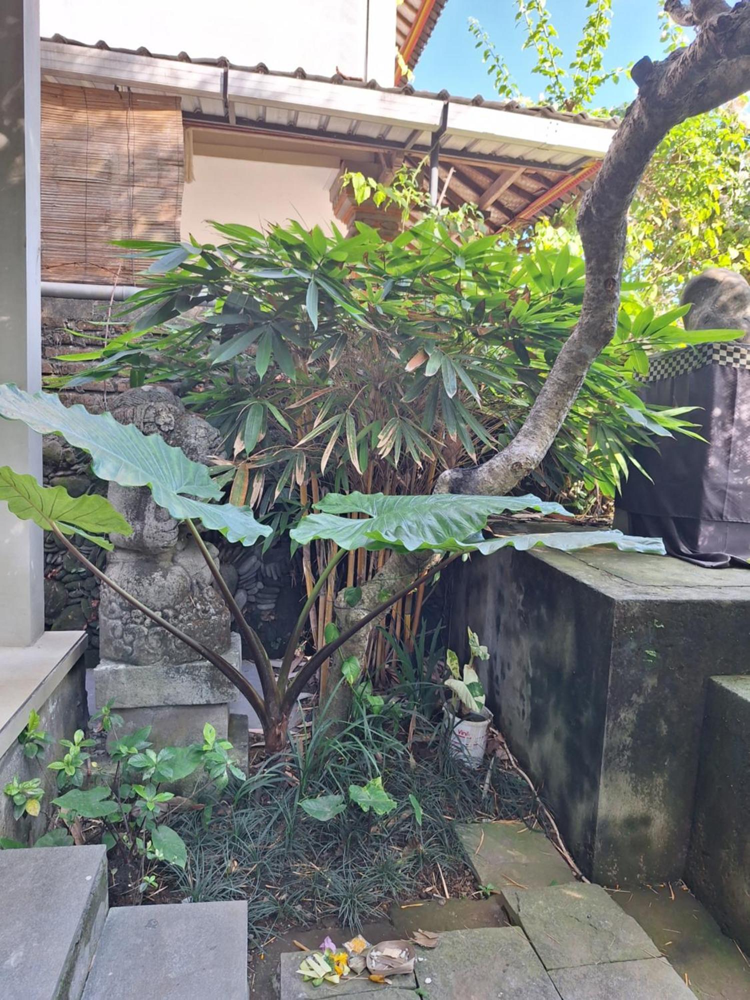 Kasapa Inn 우붓 외부 사진